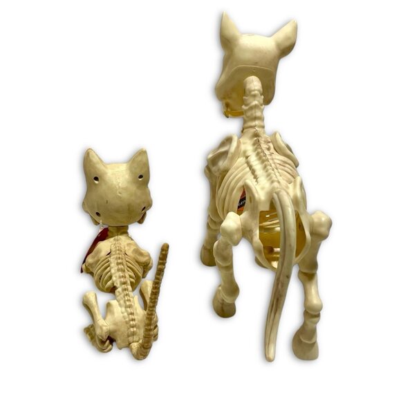 Skeleton Farm Halloween Decor Skeleton Cat & Skeleton Pony Statue. NEW! NWT! - Picture 5 of 8